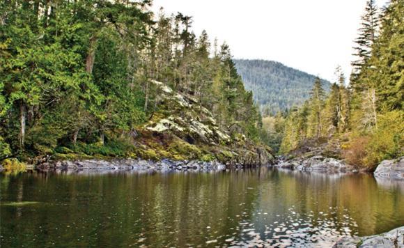 Otter Point Home Сук Экстерьер фото